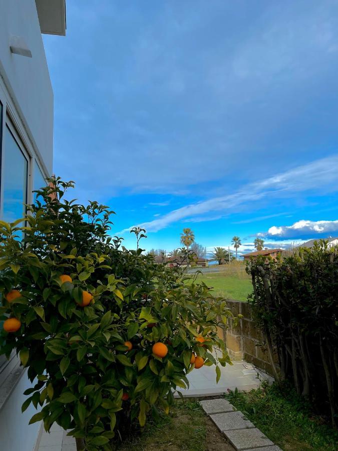 Oasi Del Mare… Lägenhet Ortona Exteriör bild