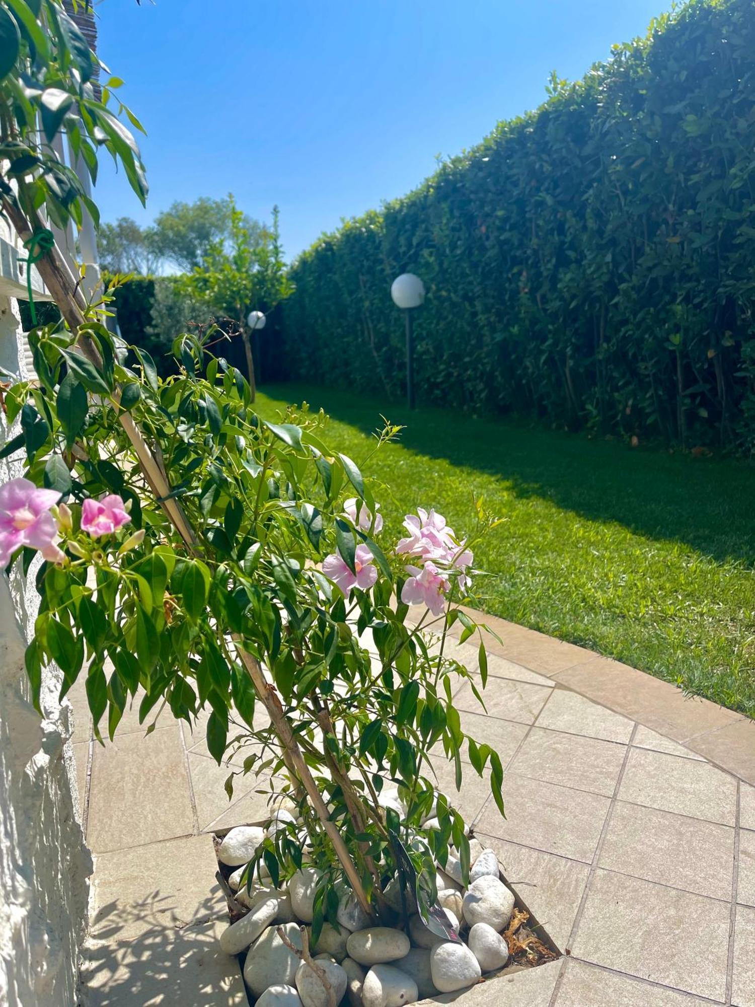 Oasi Del Mare… Lägenhet Ortona Exteriör bild